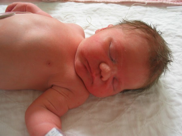 0101 Just a few minutes old.JPG